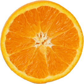 bannerpic