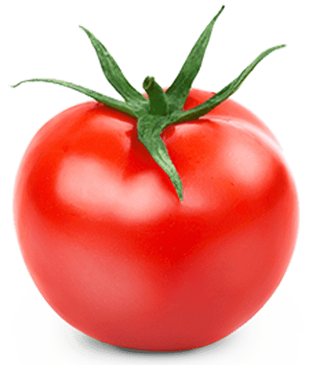bannerpic